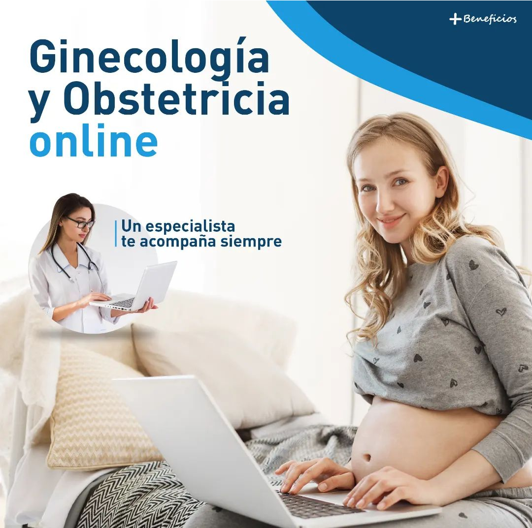 Descripción de la imagen 1